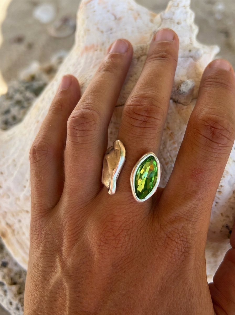 Anillo Singladura