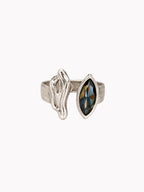 Anillo Singladura