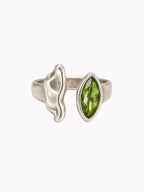 Anillo Singladura