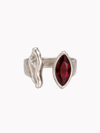 Anillo Singladura