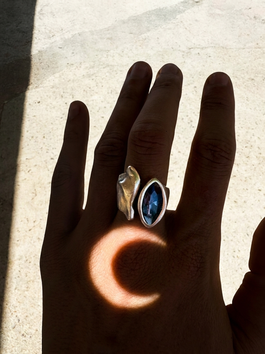 Anillo Singladura